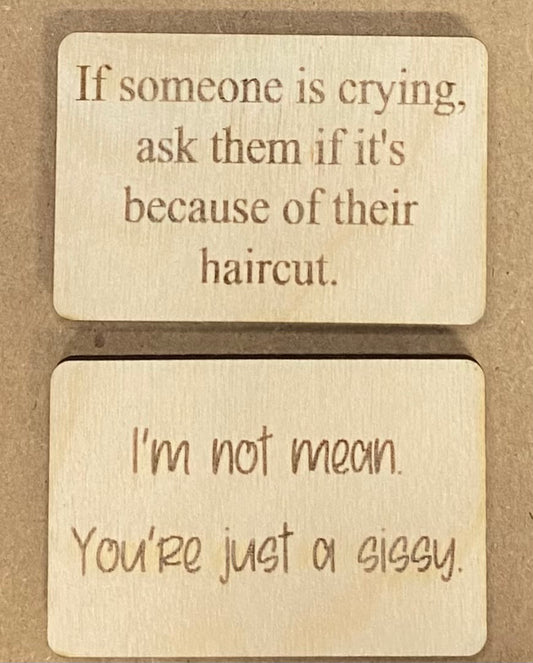 Snarky Magnets